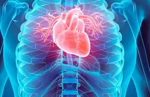 Cirugía Cardiovascular